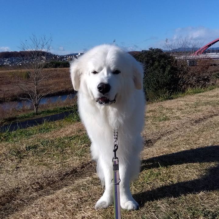 2436cda9 460c 4d5b be08 c57879a25b1b 1671366656061