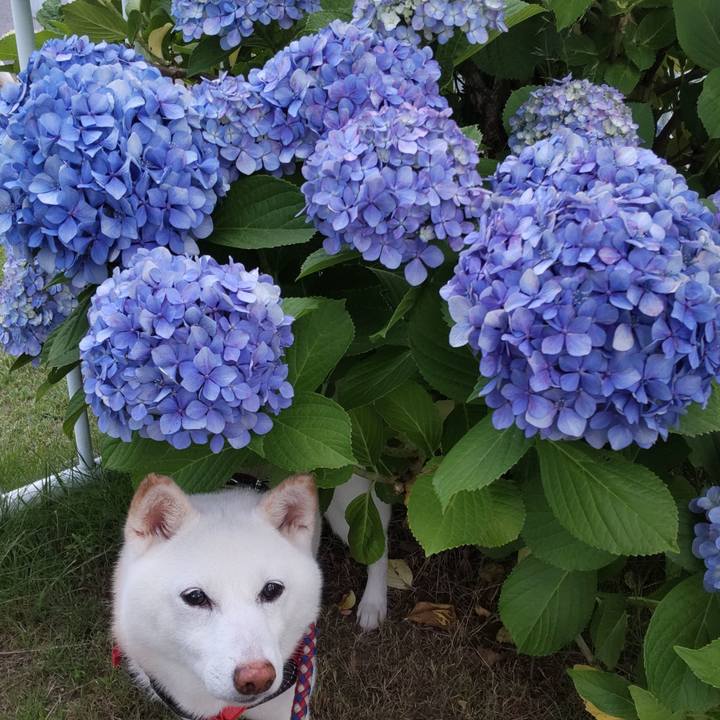 2436d5b3 4d25 4766 80f2 871f64ec414a 1719567978153