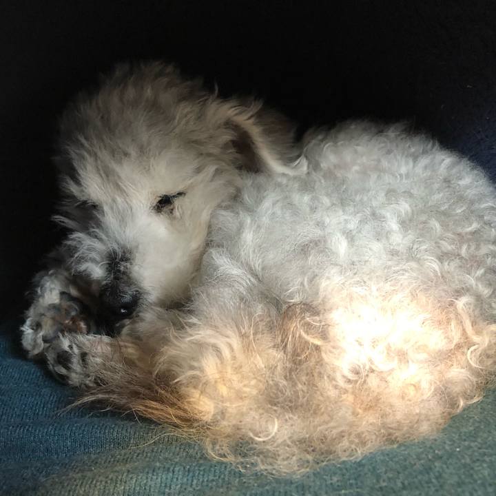 2436dc4e 8f33 47bd 9b2e 0edc12468446 1648687465087