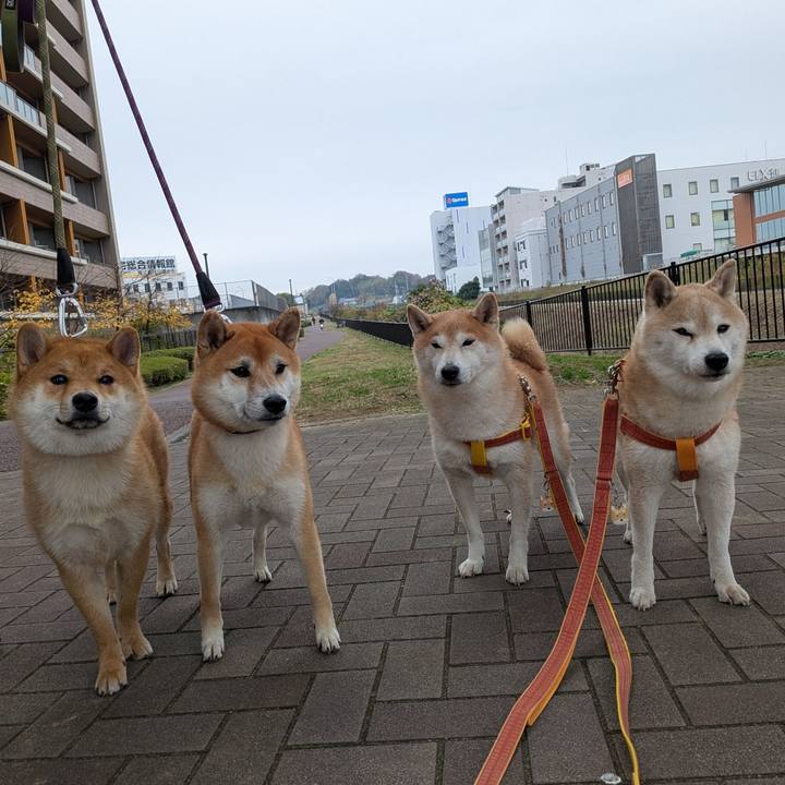 2436ed93 113a 4afc ac47 e53a699b0a8a 1764731340270