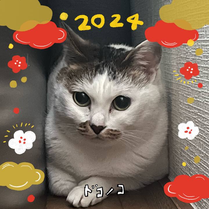 24372fd8 7a09 498b 8de3 ee1d7a812f79 1704435239838