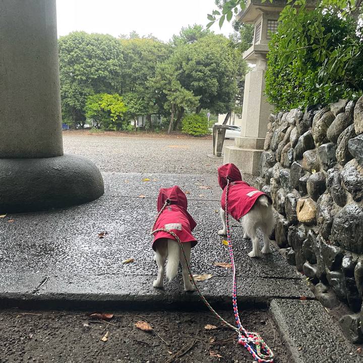 243749a6 0a3b 46c7 917f a6510393d534 1726094087634