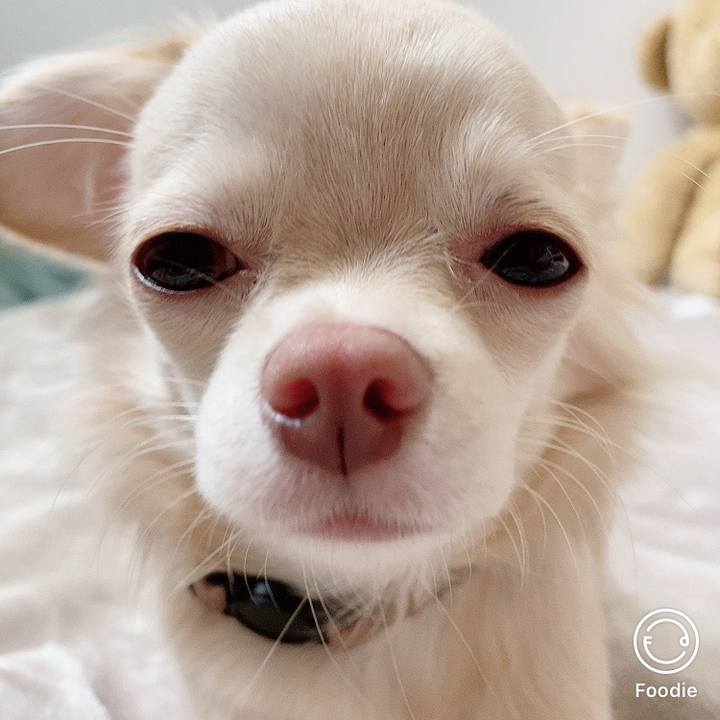 24375a6e 96f4 497c abe0 f6a37b195617 1604011720189