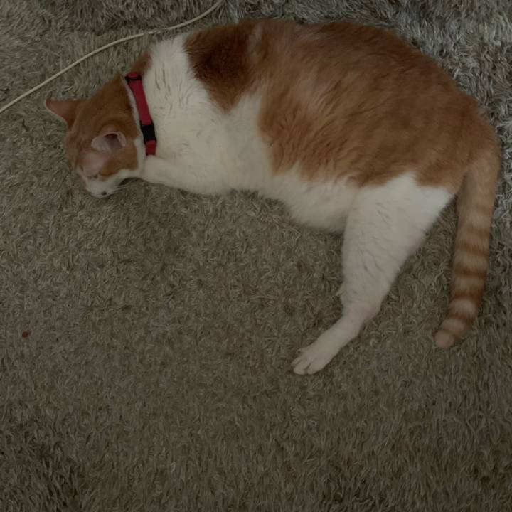 2437c097 14ab 48c1 b07e 7b63823adb97 1639610915270