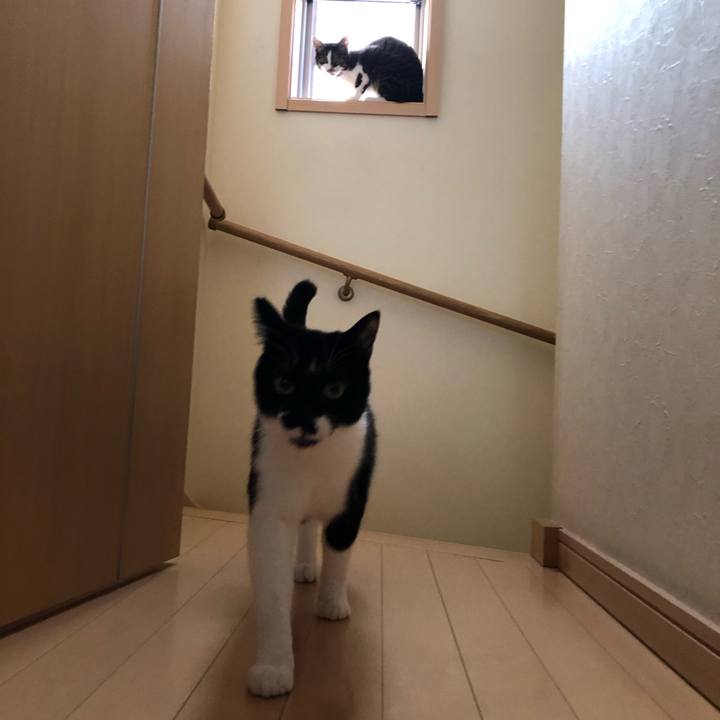 2438022b d232 44aa a88b bb918630cf82 1552765755607