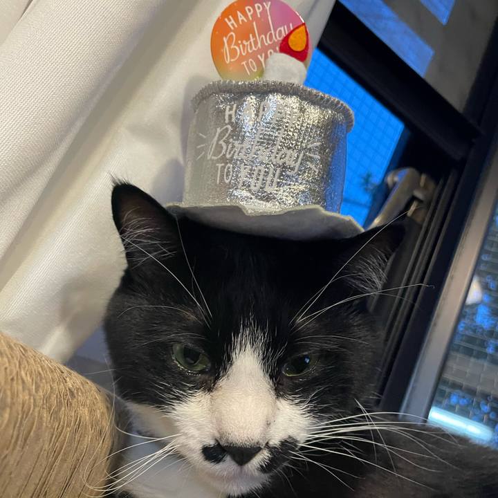 243810cd ce29 4a54 ac53 47540cf1071f 1684475273888