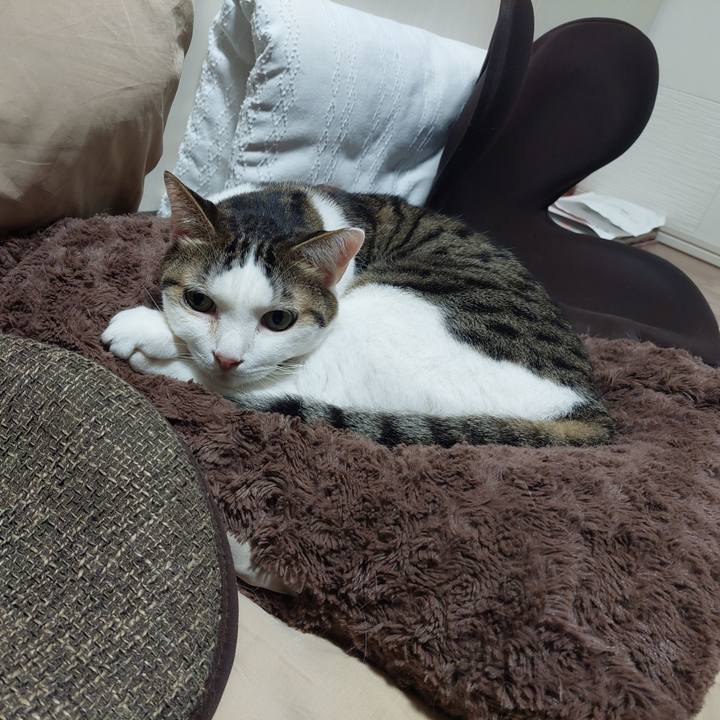 2438134a 032a 47fc 9194 5452acea35c4 1637189067812