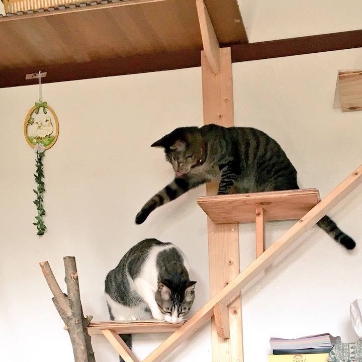 24382155 66ff 4424 aef5 e2c171a17399 1509581754639