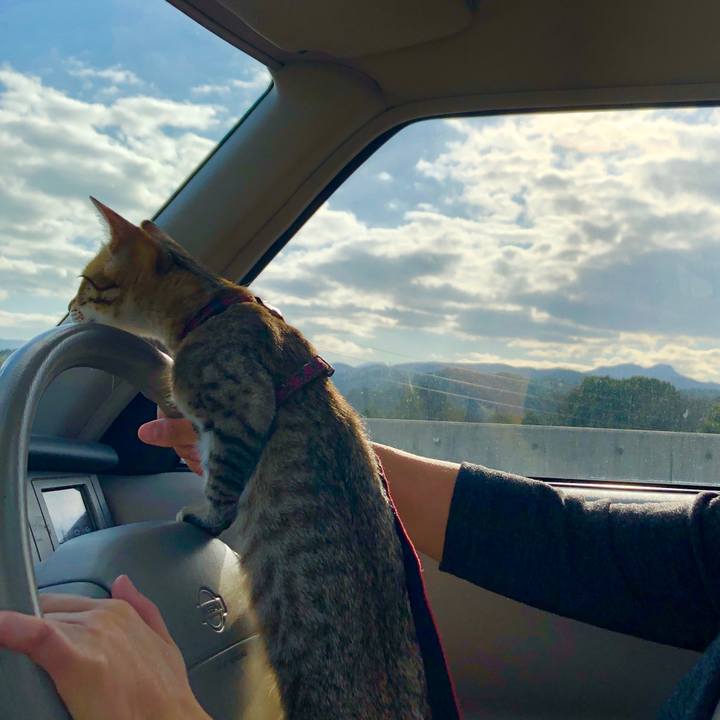 24383e64 299e 4b50 bba6 b37684d221c5 1577779348884