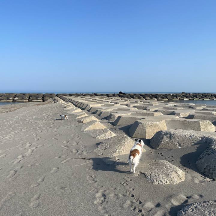 24387cab d0de 4c61 ba43 22922ec84dd3 1712965683846