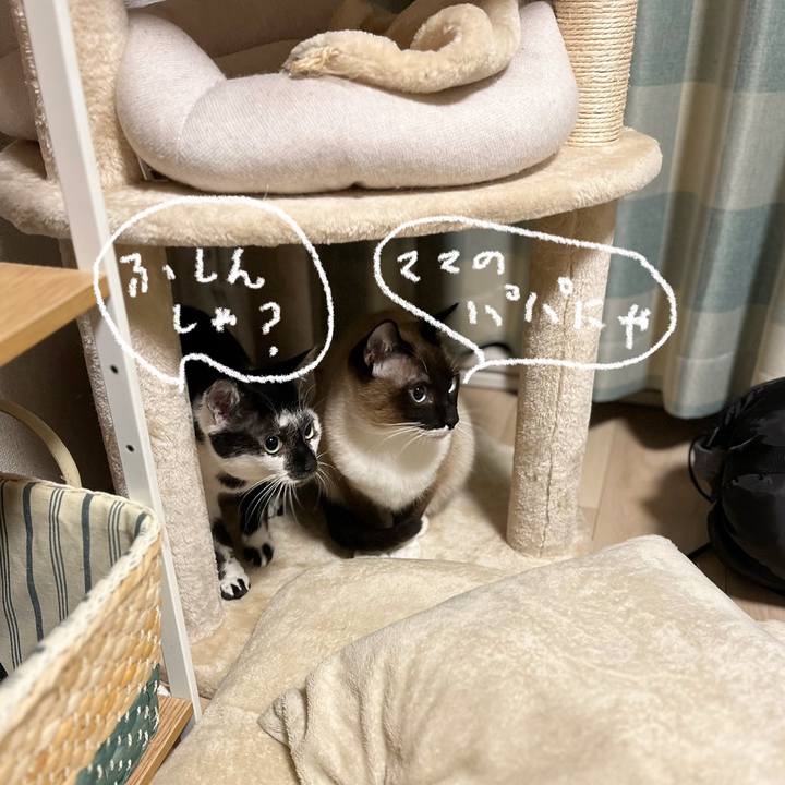 2438832d 6249 42fc 9168 06ff50f33577 1742421516140