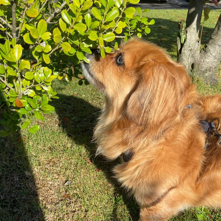 24388657 3d36 4b99 9641 d972707bfe11 1602374364448