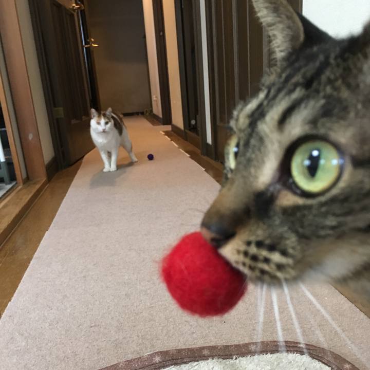 24388ebe 7986 497b ba89 bd1b66ad19cf 1556794328781