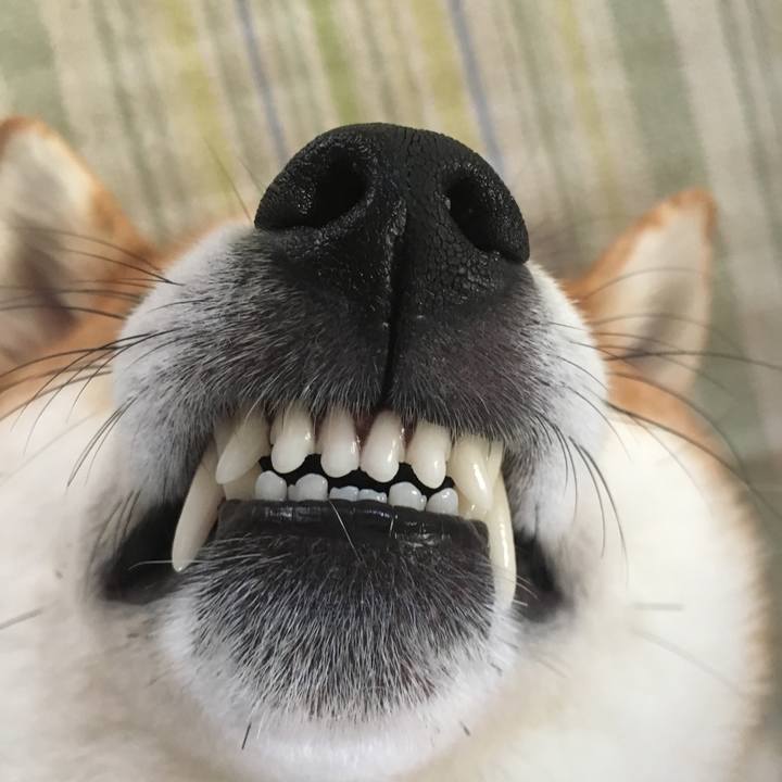 2438fb2f f71c 4f8c 893b 00b13baca9d9 1537591796789