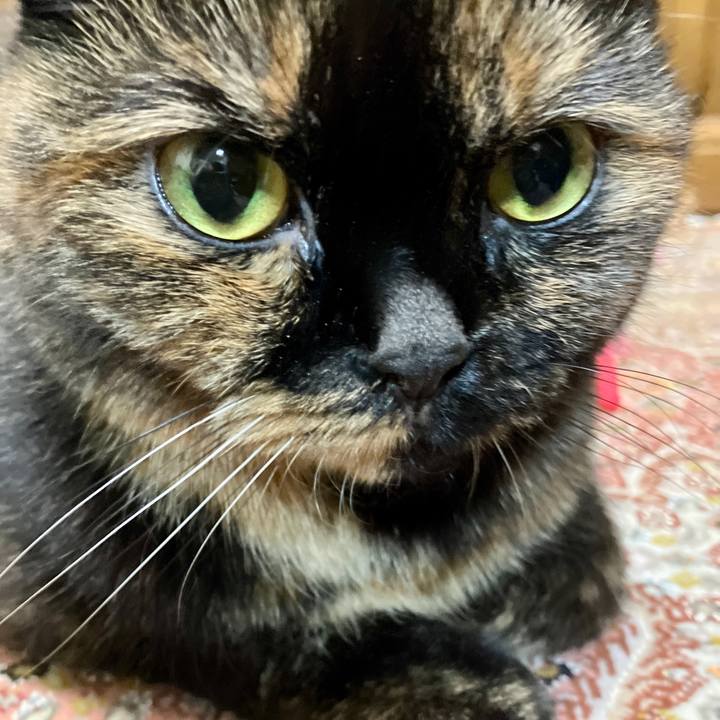 24390f1e 9982 4cc5 99ac 7a839f96f605 1763126210080