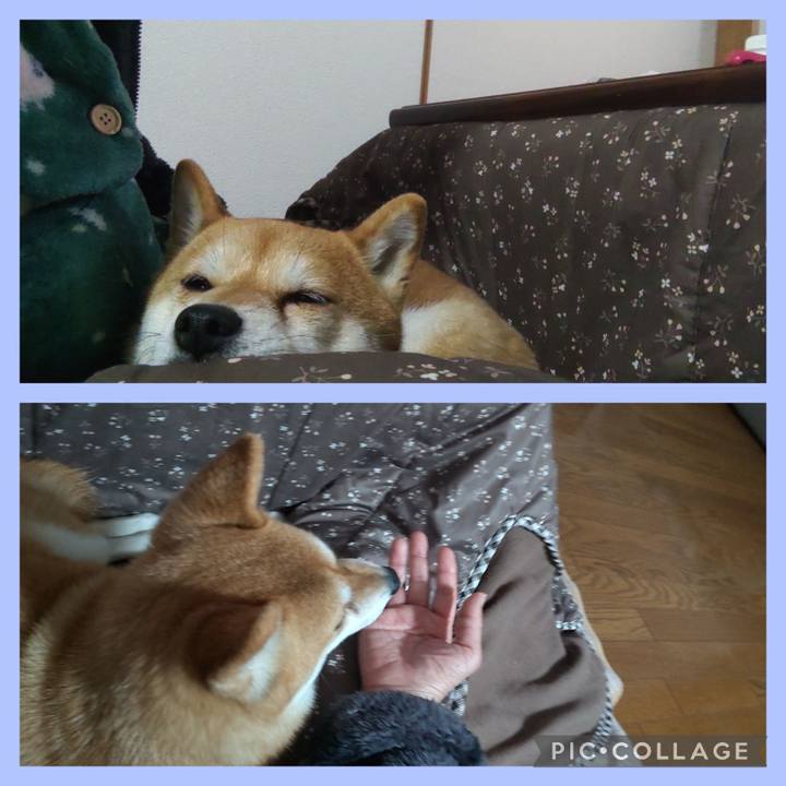 24394b28 df96 4867 9c2d 6d0a9f2310de 1742193533892