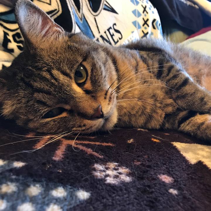 24395ece 5969 4331 bec2 307760d48600 1558170796285