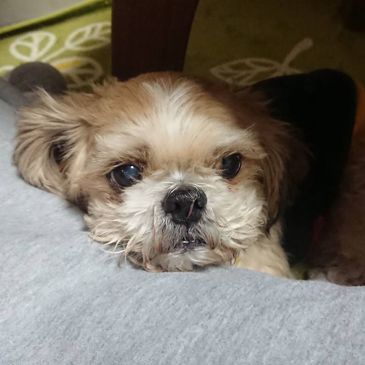 2439822a 85d3 4518 821c 8f231837758a 1670506080153