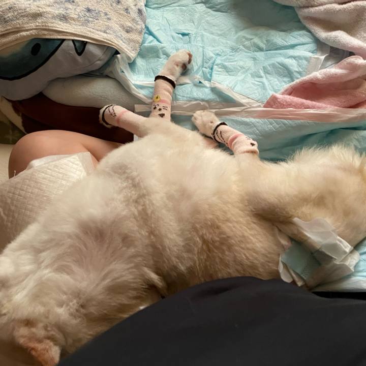 2439907d 78ff 4f49 b0f0 7464e1a793ed 1691100370971