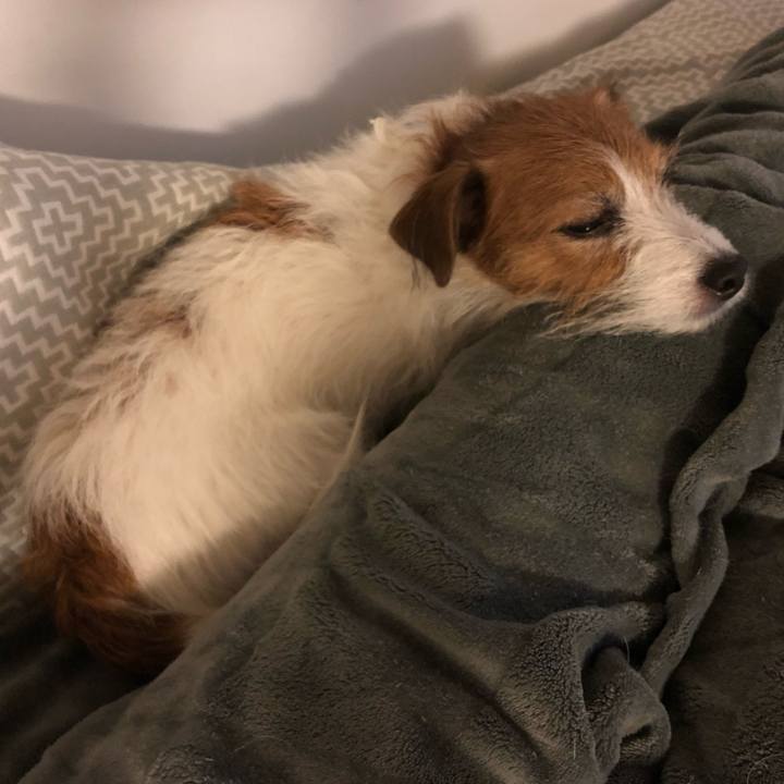 2439c2e0 4ed2 4a24 9f03 0ccf7d5ad516 1605999708619