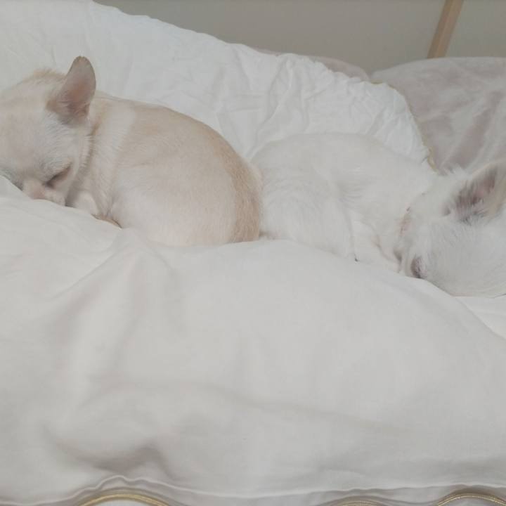 243a1b5a 8301 4bef baa5 c5b1652f71ad 1769076949288