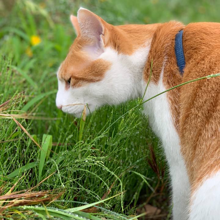 243a20ec 962a 476b 92c6 144de82ed101 1593831889494