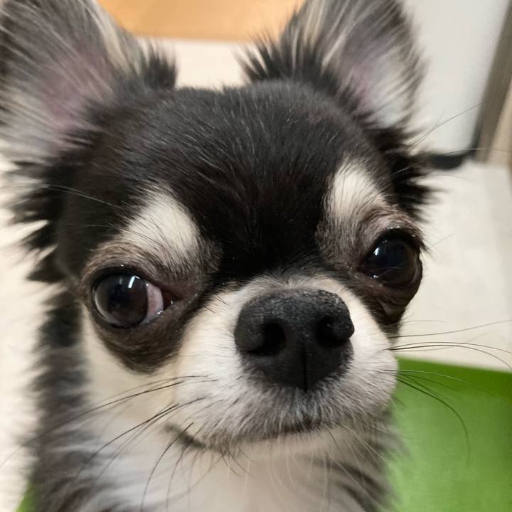 243a25a5 065d 462e a8a7 805d8d5fb6bc 1620563942175