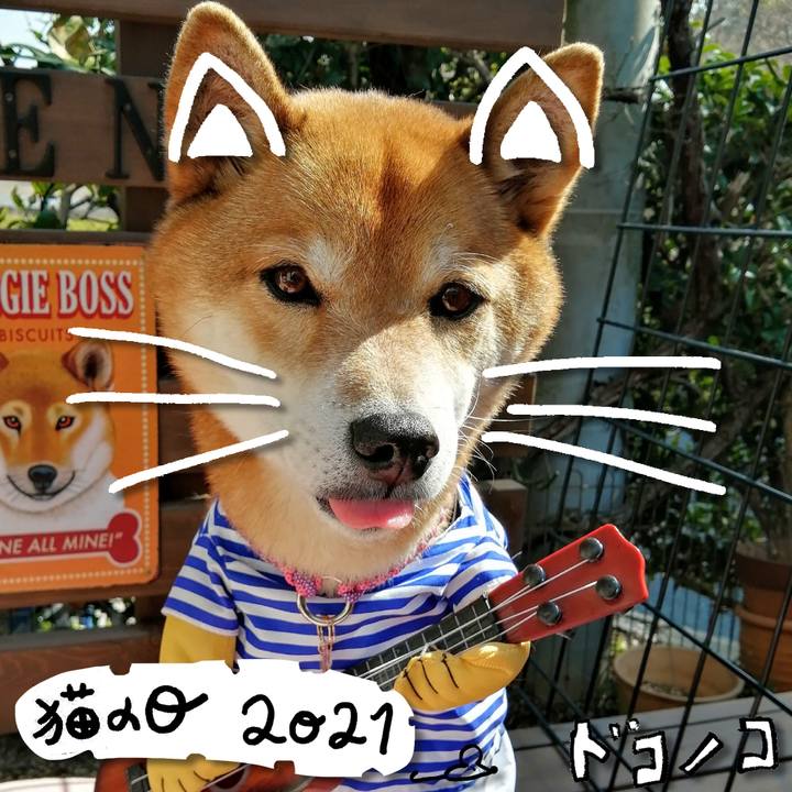 243a5e98 2fa7 47fb 8aca c6097ea617d8 1613960992700