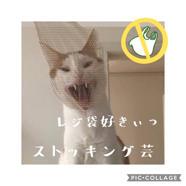 243a623b 2fff 4e5e 9bfc 074d09a3acbf 1567999506497