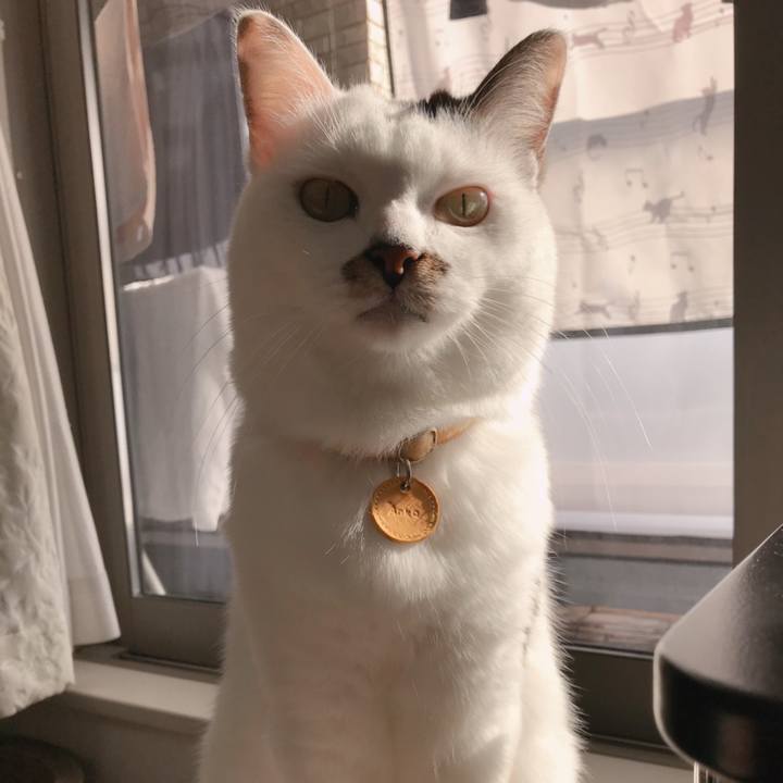 243a81fe ec5a 4b9e ab09 803fb858f4b3 1573619170805