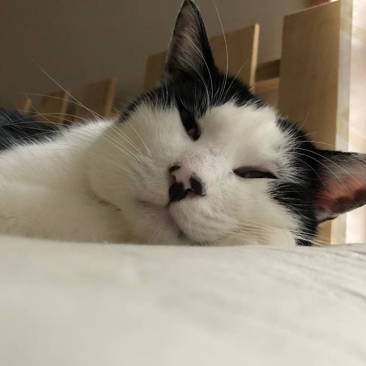 243a83fe 6967 492a 9bb3 0f4cb6ff1b75 1574576585016