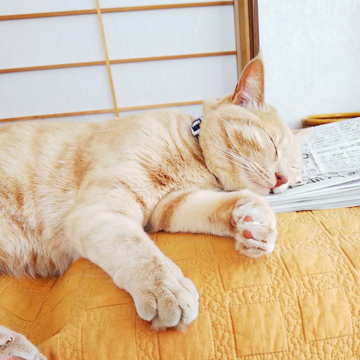 243a91dc 9f02 4b5a ace3 a8037c742d77 1600657488775