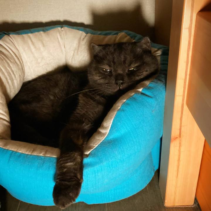 243aa762 404b 4ac7 8d61 009f76648ee0 1627576710966