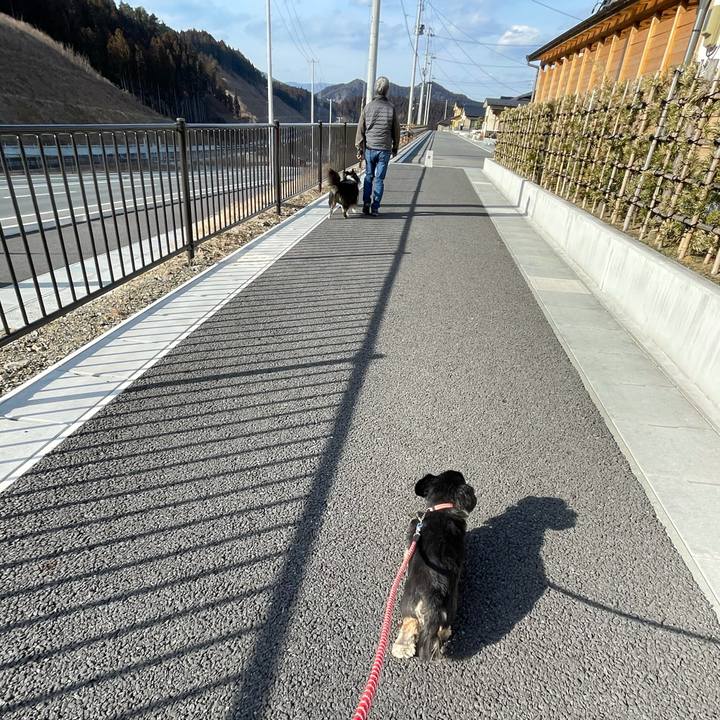 243aac69 c92e 4377 b9e5 a2bbf4237d2f 1613287077052