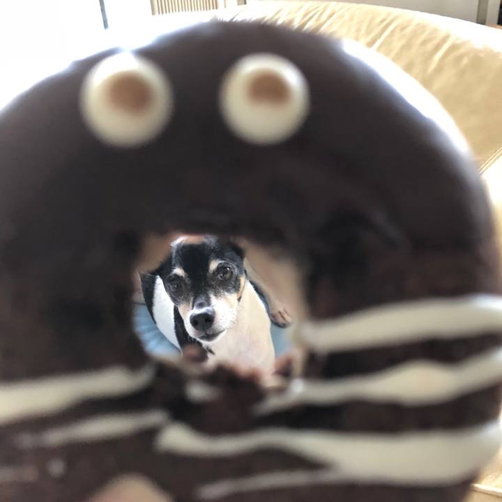 243aaef3 4869 4980 9f19 c944098a243f 1538293125774