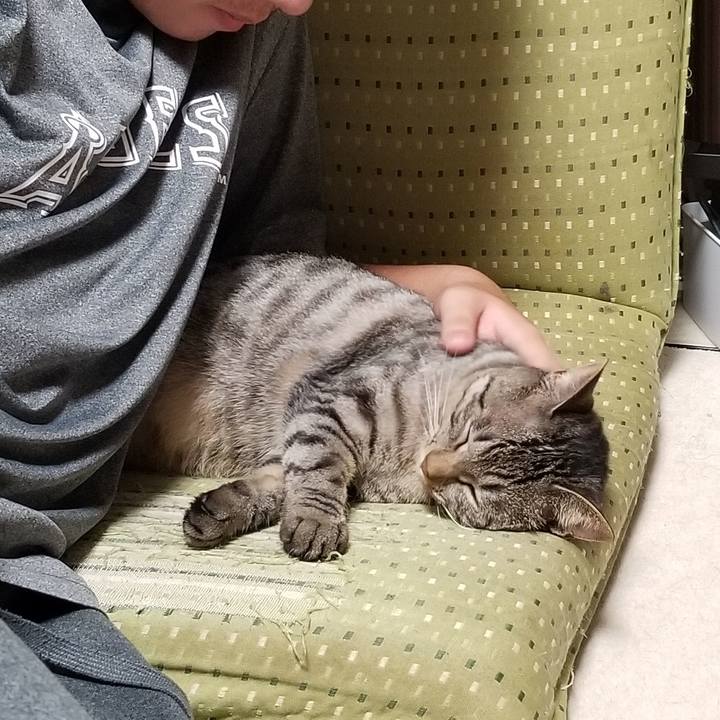 243ac295 3d79 4ba4 aef8 0ffd6a8d93dc 1691418053084