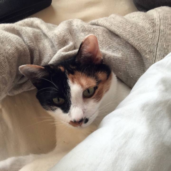 243ad567 3356 4656 b374 b93f88efdf5a 1588405889099