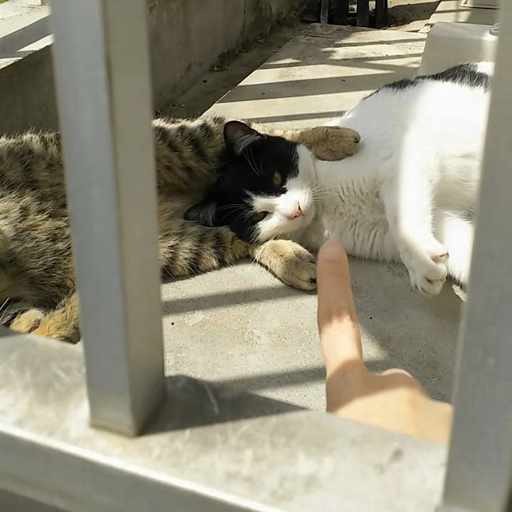 243adf8c a1d5 49fa 9538 32c0493ede53 1555901825950