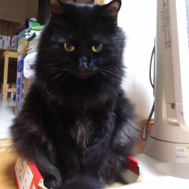 243aea8a 518c 4c2c bba8 26c02aa75914 1542281211729