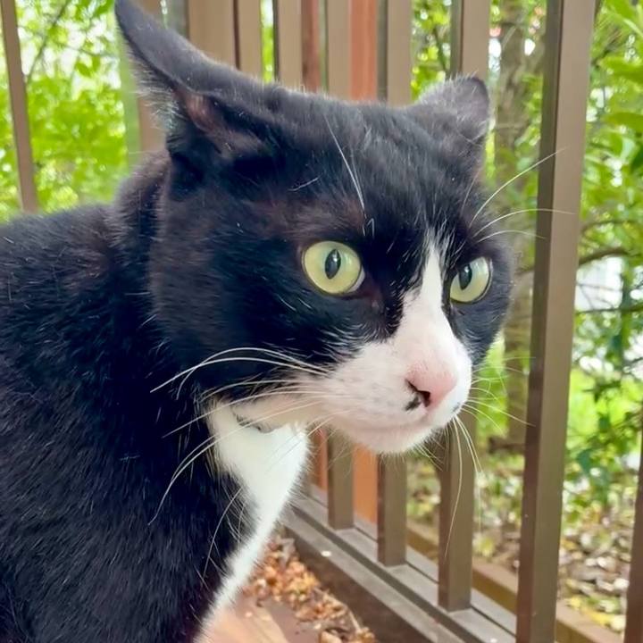 243b056b 72e1 4b6e 9210 656ecd823f09 1774965340548