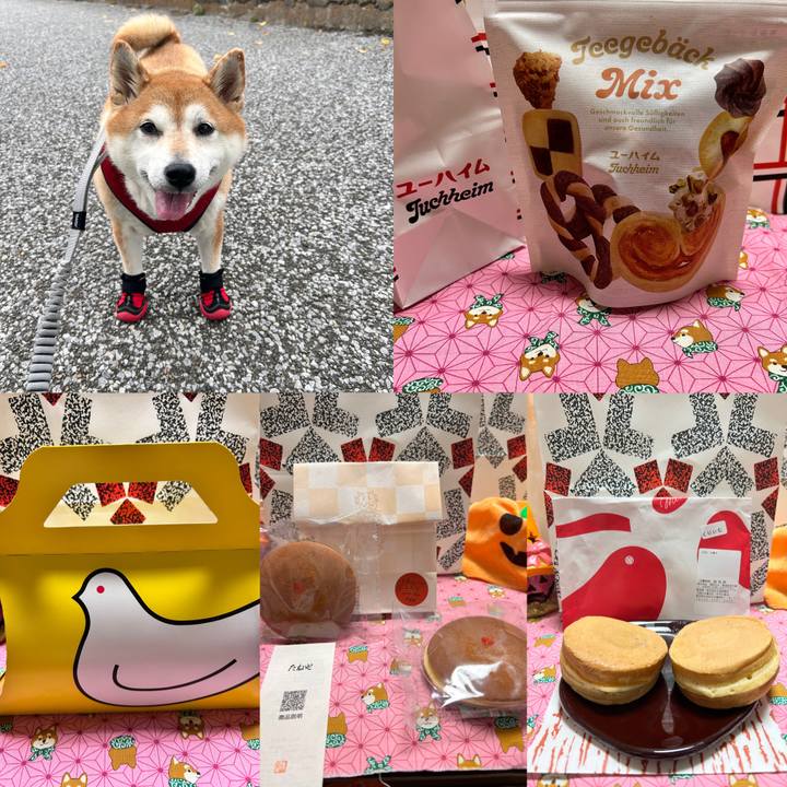 243b156d a1b4 4f62 a733 e229608119ad 1730192026753