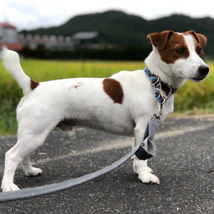 243b1a01 75cd 4ec6 a1f3 e92729314687 1537947752360