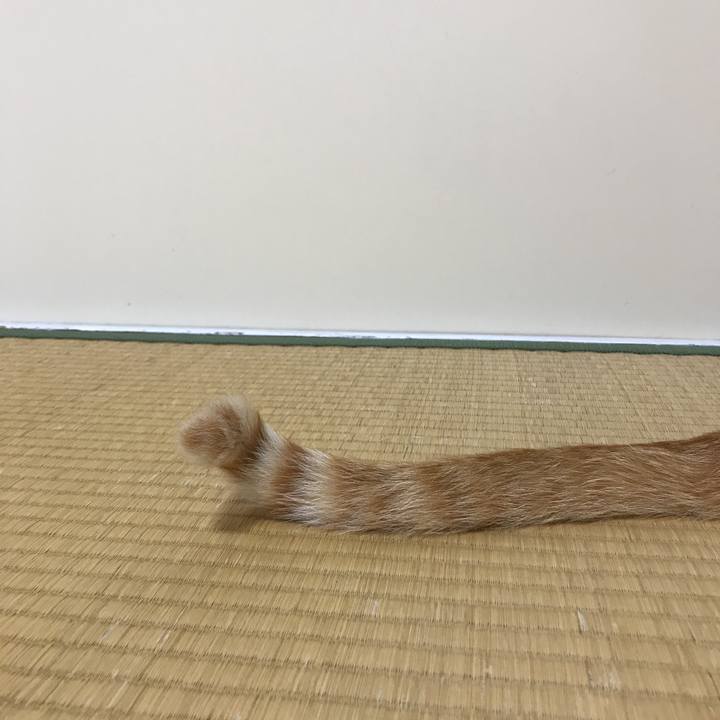 243b2043 57fc 41d1 8aa1 5f30ade9644c 1528719801560