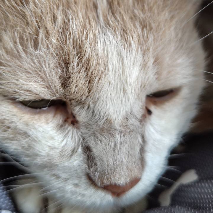 243b2390 ec35 4391 ba23 a58f60ce674c 1755296786652