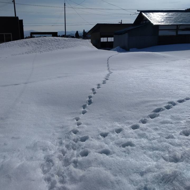 243b63a0 a26c 4f07 84f9 e0fc0870155f 1771650694481