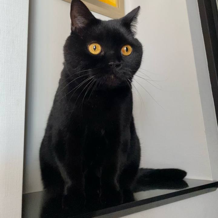 243ba53b 9898 4aa7 ba8e 9be260a92bc3 1705490473623