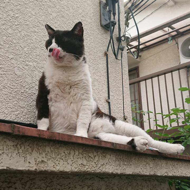 243bb43f f915 49ea 9ef5 608e6fe25f82 1563675485865