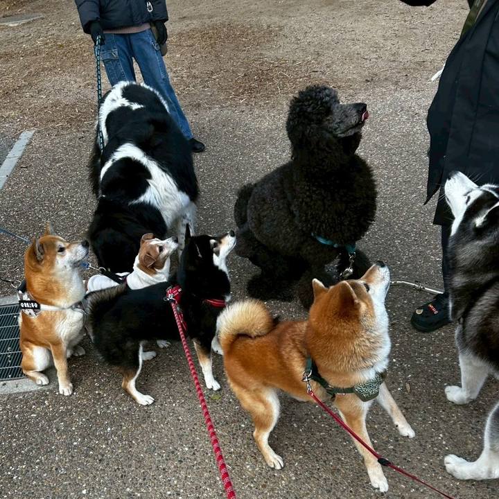 243bbbed 9411 4cb2 a32d bcca6bfb4796 1769560343125