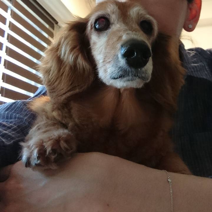 243c1735 ff80 4402 979d 655a2ebe7223 1599043680606