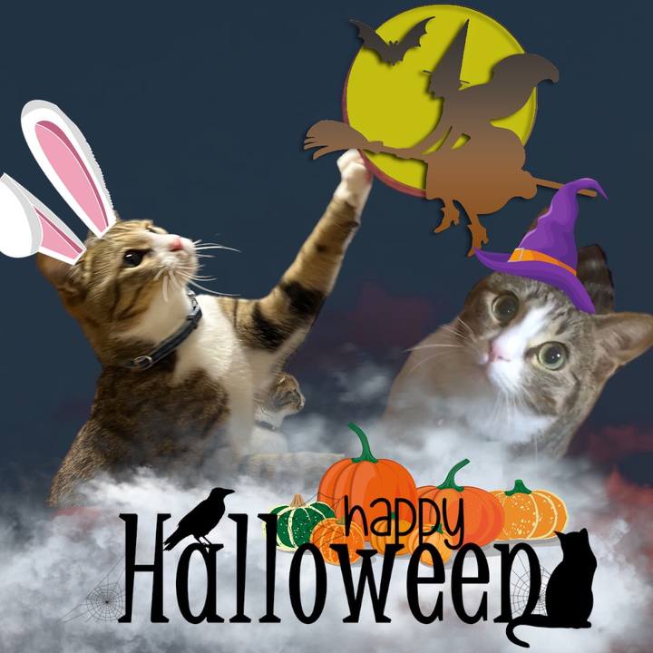 243c557a 982c 4726 b38b 8c18742d88f4 1698690601308